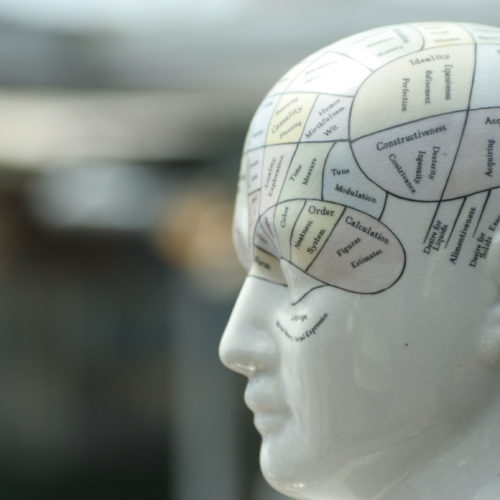 Phrenology head