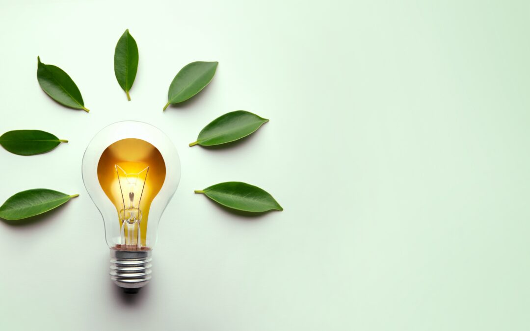 Future-ready: how project-based learning empowers students for university and beyond